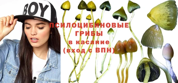 MDMA Premium VHQ Аркадак