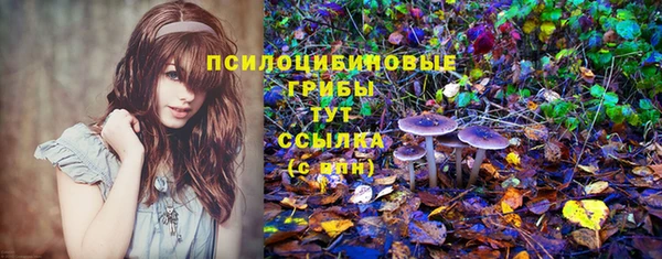 ECSTASY Алексеевка